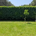Magnolia *