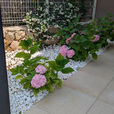 Magnolia Appartement