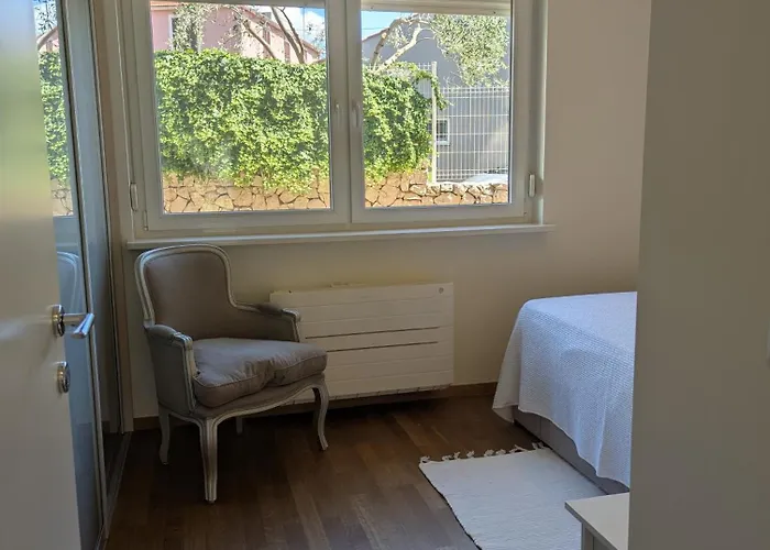 Magnolia * Ζαντάρ