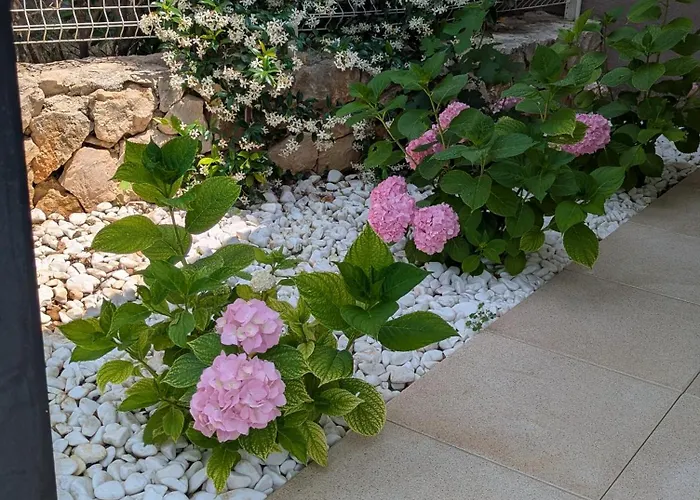 Magnolia Апартаменты